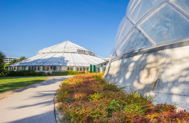 Adobestock 521823650