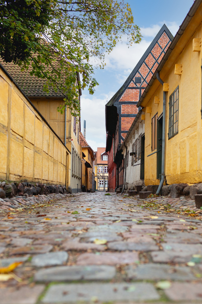 Adobestock 673730016